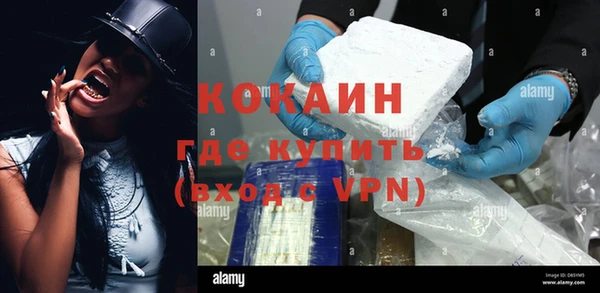 гашик Алексин