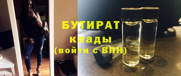 гашик Алексин