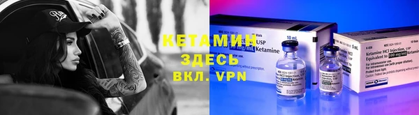 гашик Алексин