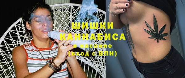 гашик Алексин