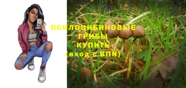 бутират Алзамай