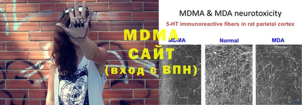 молекула духа Алексеевка