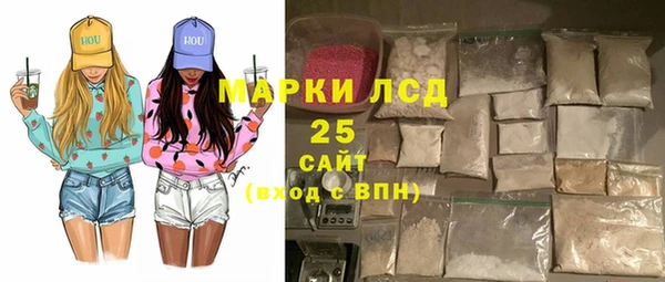 гашик Алексин