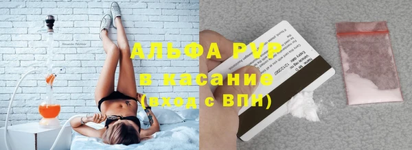 гашик Алексин